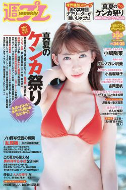 精英律师电视剧全集免费观看
